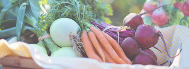 Nutrition & Anxiety in Kids by Jen Galland, Family Nutritionist