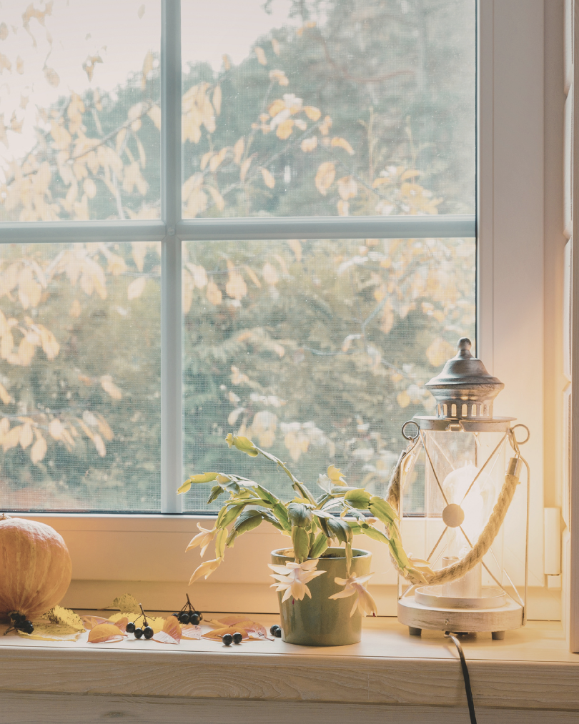 From the editor – Autumn Edition